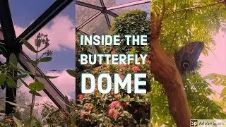 Butterfly Dome at the Saint Louis Zoo