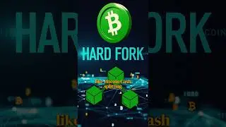 What Are Crypto Forks? Hard vs Soft Forks Explained