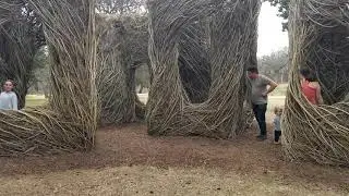 Pease Park Art Installation 