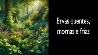 Ervas quentes, mornas e frias