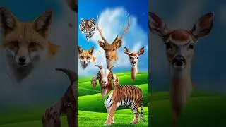 #cow#animation#cartoon#viralvideo#comedy#trending#animals#viral #viralvideo #trending