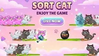 LIVE SORT CAT 6