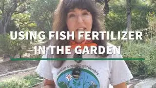 Episode 10: Using Fish Emulsion in the Garden