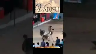 varisu shooting spot video leaked dont spread this video|thalapathy vijay 66 update varisu #varisu