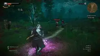 The Witcher 3  -  Wild Hunt ： That Nigga Blew Up Like a Rotfiend