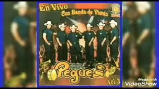 grupo super pegues vol 3cd completo