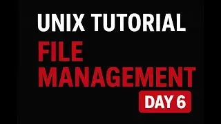 UNIX Commands Part 2 | File Management & Intermediate Commands (Day 6)