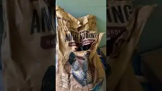 Cheap Chicken Coop Bedding that doesn&rsquo;t smell awful | Rural King | Coffee Ground bedding