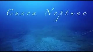 Cueva Neptuno Dive Site Tenerife