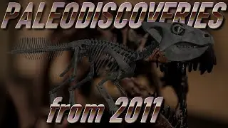PALEO-DISCOVERIES from 2011