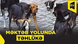 &ldquo;Uşaqlar məktəbə getməyə qorxur&rdquo; &ndash; Pirşağı sakinlərinin narazılığı