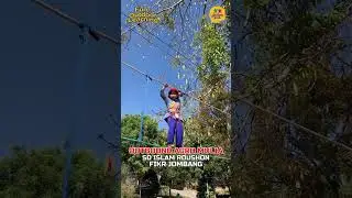 Outbound Anak Agromulia Prigen