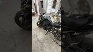 Z900 - The Biggest SuperBike Fan Is Here #z900 #ninja