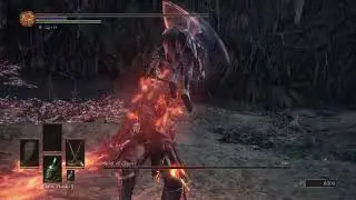 soul of cinder phase 2 blind reaction