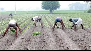 Use efficient water saving technologies