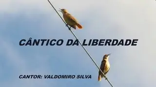 C&acirc;ntico da Liberdade - Canta, Canta &Oacute; Passarinho -Homenagem ao Cantor Valdomiro Silva