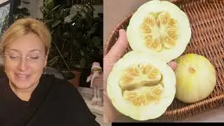 Какие дыни я буду сажать!!!!