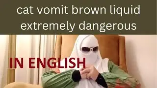 CAT BROWN VOMITTING I MALE CAT VOMIT I CAT DEATH