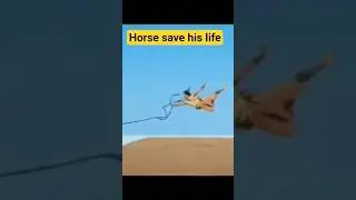 #Horse #viral #movie #movieclips