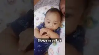 baby rekoys