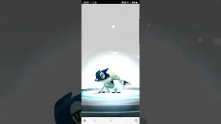 Evolving Shiny Froakie to Frogadier & Greninja #shinypokemon #pokemongo #pokemon #evolution evo