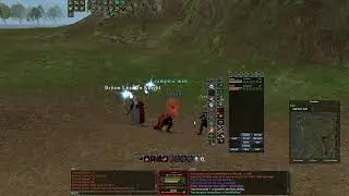 Dark age of camelot  | Warden and Champ duo