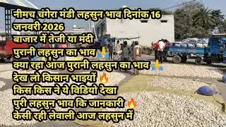 नीमच चंगेरा मंडी लहसुन भाव दिनांक 16 जनवरी 2026 