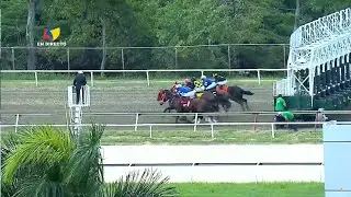 2&ordf;. carrera | LA BARBIE | Hip&oacute;dromo La Rinconada | Reuni&oacute;n 34 | 2025