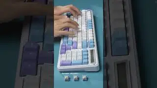 🔢 Numpad Meets Calculator &ndash; A Whole New Experience!