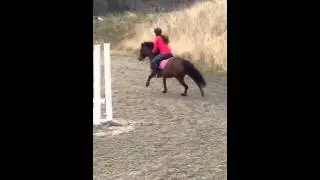 Hoppsideisi