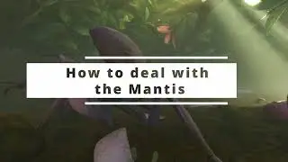 GROUNDED - Mantis Attack Pattern (Block timing)
