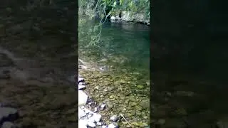 peche Nartuby (Trans en Provence Var)