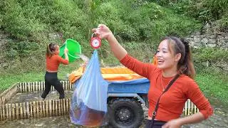 Harvesting Fish | Simple Fish Trapping Method & Big Harvest &ndash; Transporting Chickens to Market