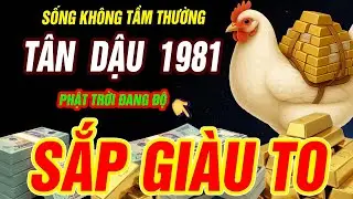Sống Không Tầm Thường Tuổi TÂN DẬU 1981 Có Căn Lành Phước Lớn Hưởng Lộc Tổ Tiên Nhờ Biết Điều Này