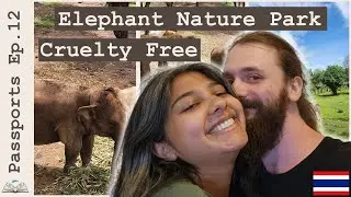 Cruelty Free Elephants, Elephant Nature Park | Thailand Vlog (Passports ep.12)