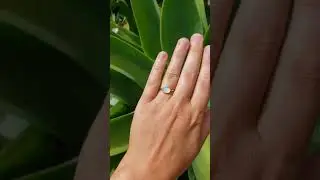 Opal & Gold Ring