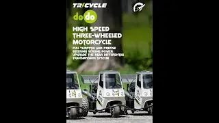 S810 1/16 2 4G RC Tricycle Stunt Vehicle