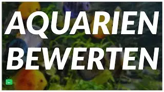 AQUARIEN BEWERTEN | Letzte Aquarien | GarnelenTv