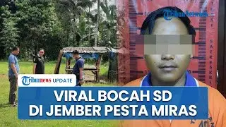 Viral Siswa SD di Jember Pesta Miras hingga Teler, Alkohol Dioplos Suplemen, Penjual Jadi Tersangka