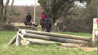 Heavy Irish Cob Jumps Cross Country