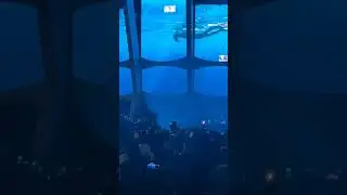 See Davido Timeless Music Concert @ TBS square in Lagos