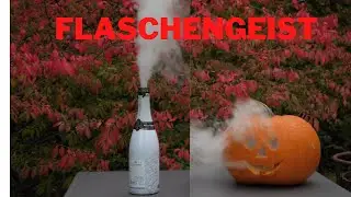 Gruseliges Halloween-Experiment