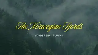 Cruising the Norwegian Fjords | Highlights YOU should see on your next trip!