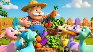 🎵 Old Farmer Donny Feeding Farm Animals | Goat, Duck & Cow 🐐🦆🐄