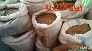 جولة في محل أدرار للمكونات البلدية الأدرارية و الطريق المؤدية له