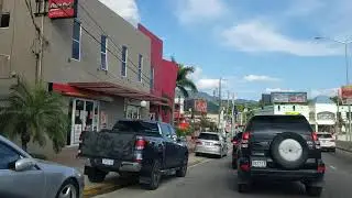 Bird Sucker Lane | Barbican Road | Jamaica