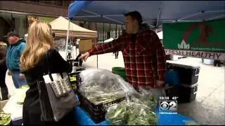 Your Chicago: Farmers Markets