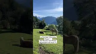 🏔️ Vinschger H&ouml;henweg Etappe 1 &ndash; Von Reschen nach Planeil | Weitwandern mit Hund 🐾 #wandernmithund