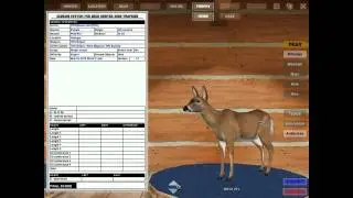 Deer hunter 2005 world record's