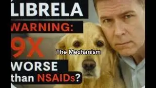 Librela & Solensia Today, Lenivia & Portela 2026: The NGF  Drug Crisis 